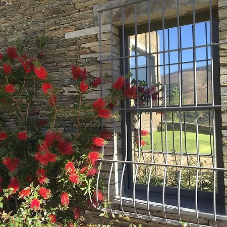 Κατάλυμα σε φάρμα Quinta Da Marka