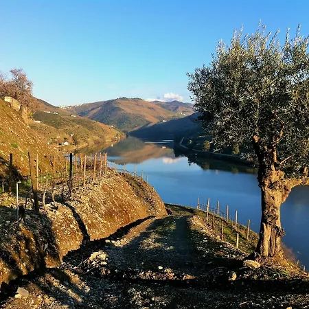 Quinta Da Marka Bauernhof Covas do Douro