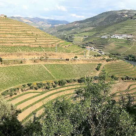 Quinta Da Marka Covas do Douro