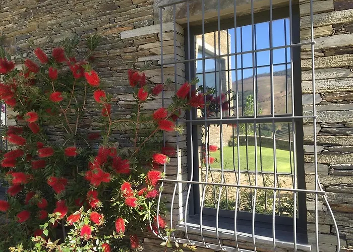 Séjour à la ferme Quinta Da Marka